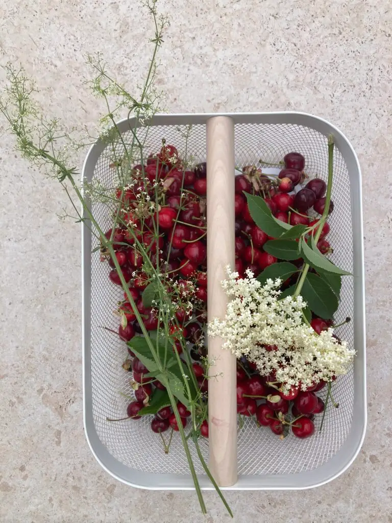 kersen en vlierbloesem uit de boomgaard
