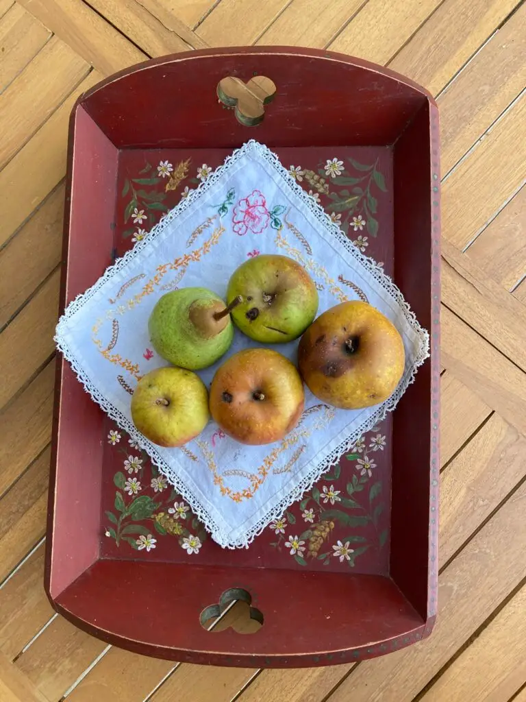 appels voor apple crumble